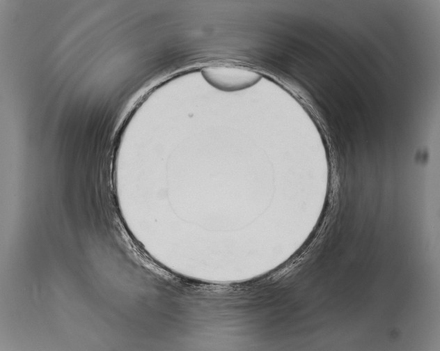 X0000113980904200911131052