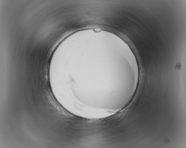 X0000113980908200911131052