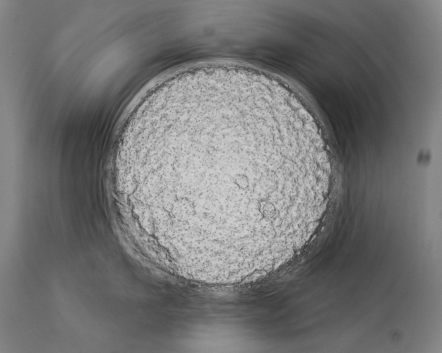 X0000113980911200911131052