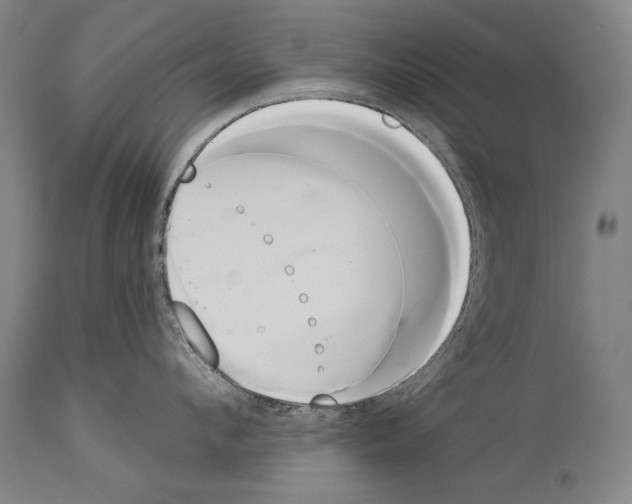 X0000113980912200911131052