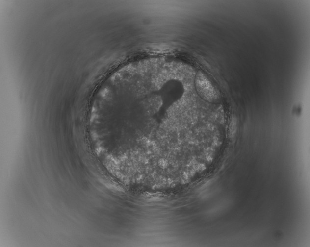 X0000113980913200911131051