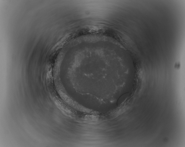 X0000113980914200911131051