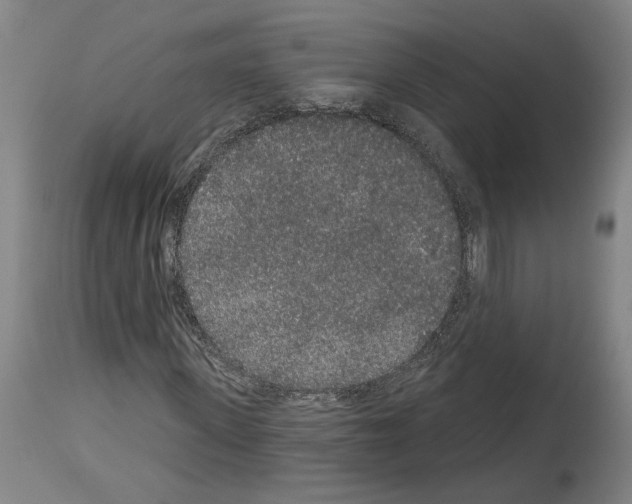 X0000113980915200911131052