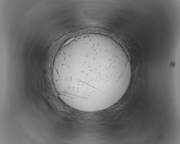X0000113980916200911131052