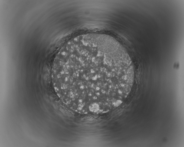 X0000113980917200911131052