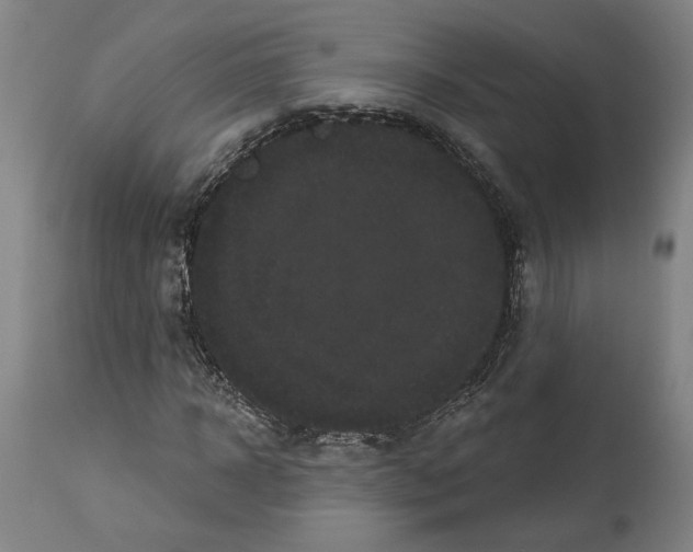 X0000113980918200911131052