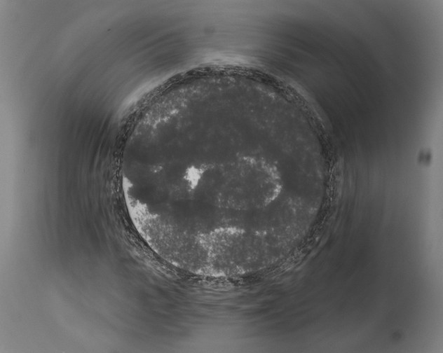 X0000113980919200911131052