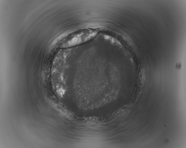 X0000113980920200911131052