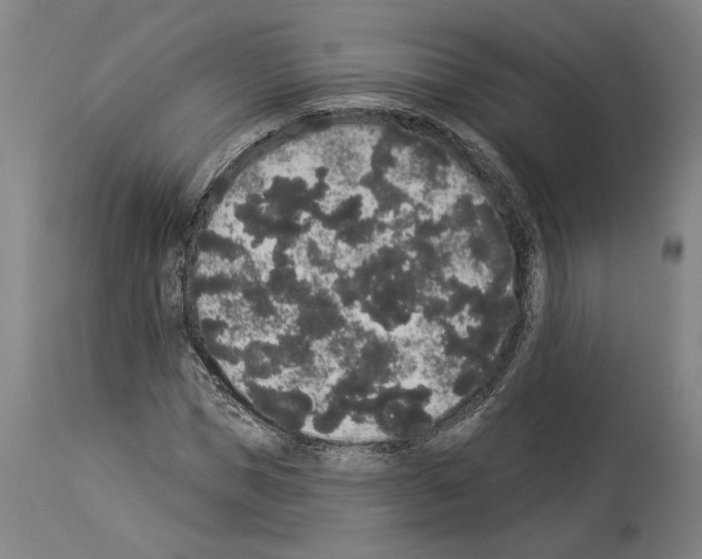 X0000113980921200911131052