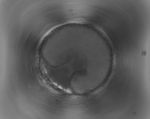 X0000113980923200911131052