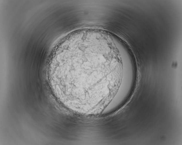 X0000113980925200911131052