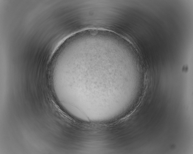 X0000113980926200911131052