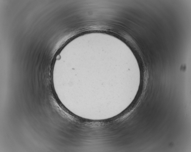 X0000113980930200911131052