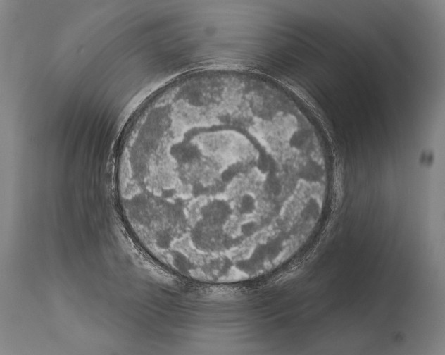 X0000113980933200911131052