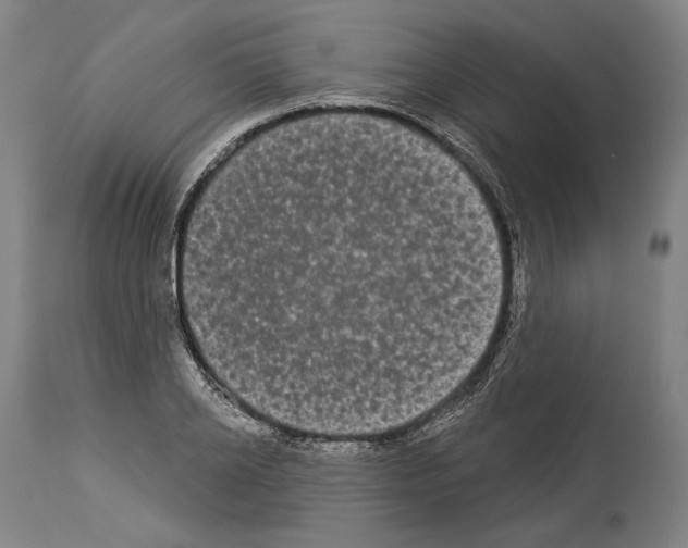 X0000113980934200911131052