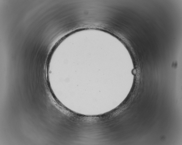 X0000113980936200911131052