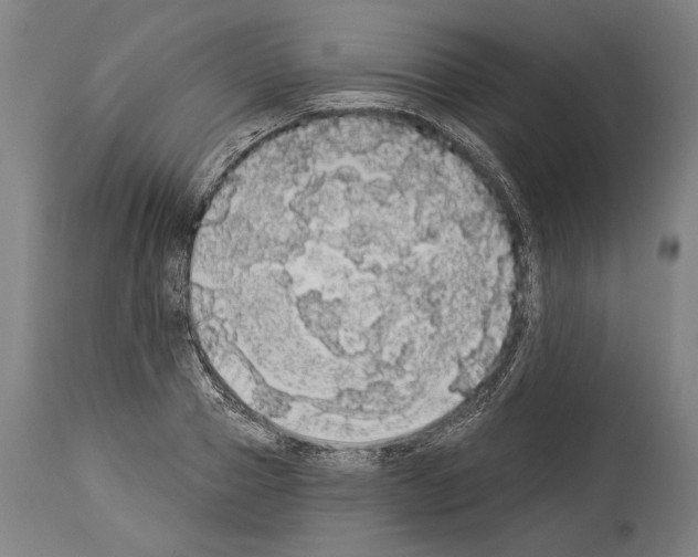 X0000113980937200911131052