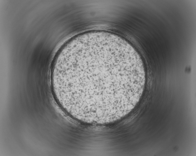 X0000113980939200911131052