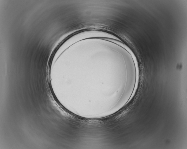 X0000113980940200911131052