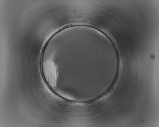 X0000113980941200911131052