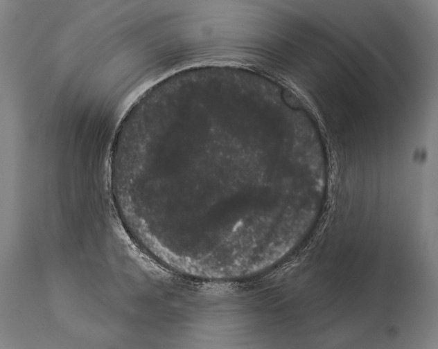 X0000113980944200911131052