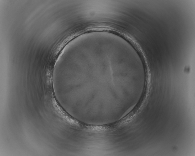 X0000113980945200911131052