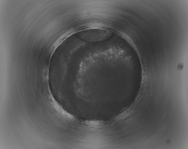 X0000113980946200911131052