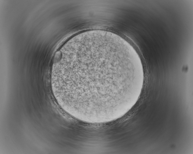 X0000113980948200911131052