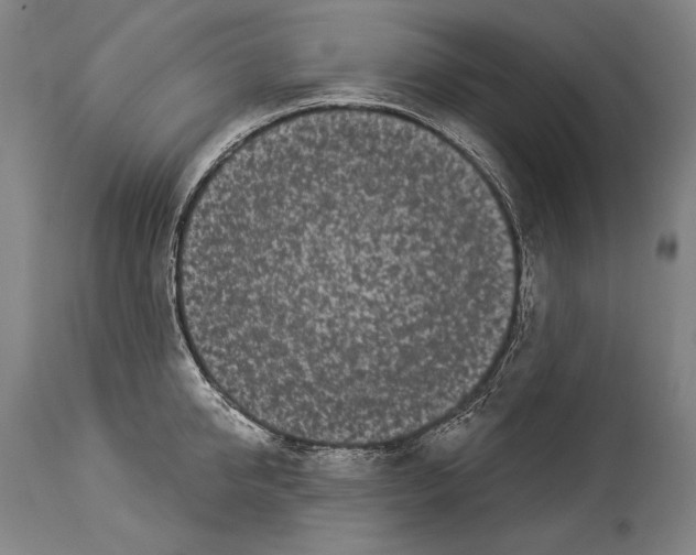 X0000113980950200911131052