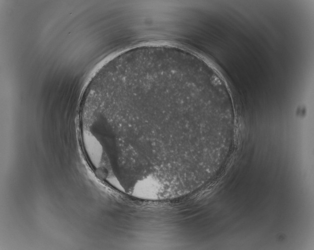 X0000113980951200911131052