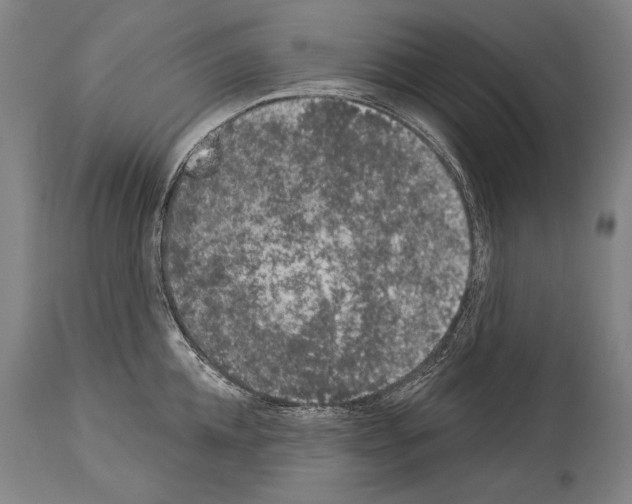 X0000113980952200911131052