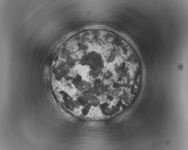X0000113980953200911131052