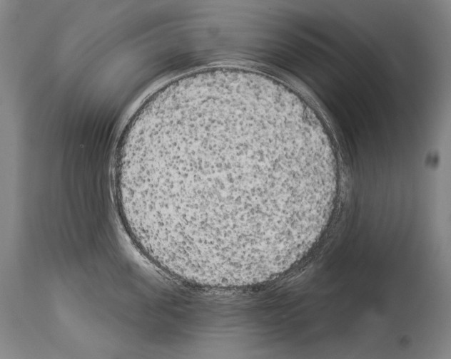 X0000113980955200911131052