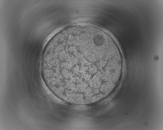 X0000113980957200911131052