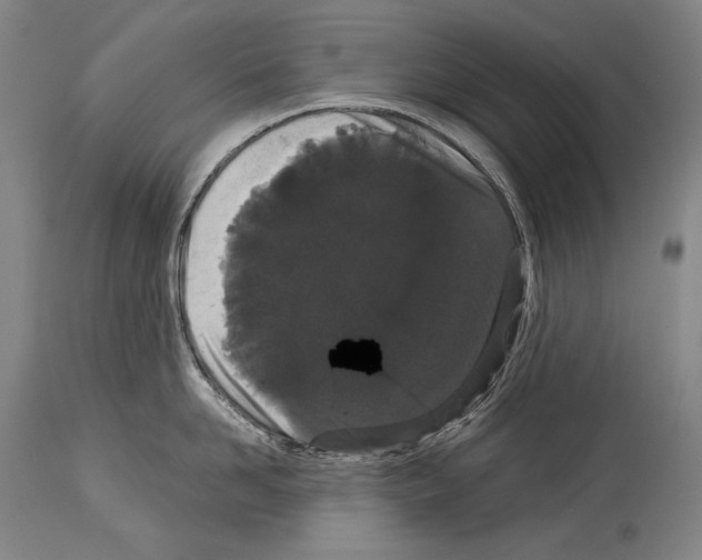 X0000113980958200911131052