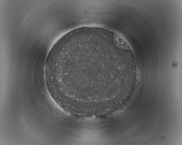 X0000113980959200911131052