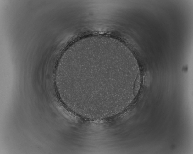 X0000113980961200911131051