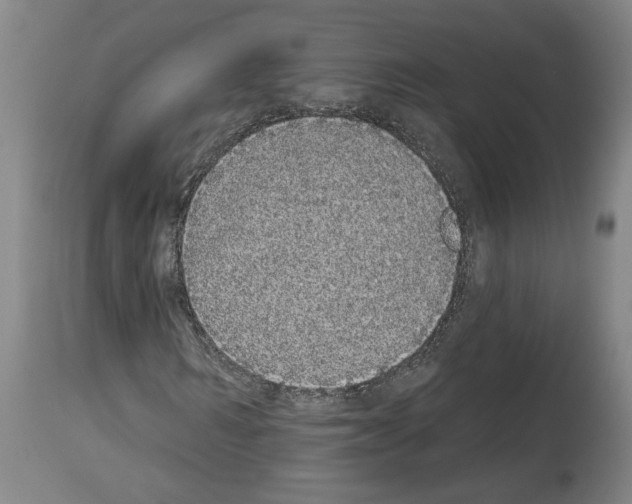 X0000113980962200911131051
