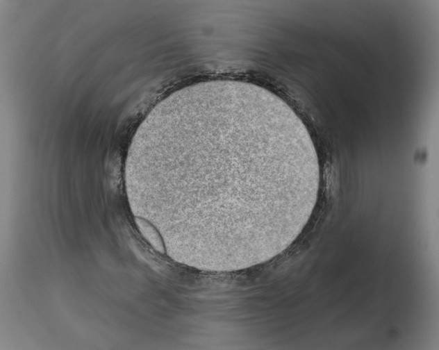 X0000113980963200911131051