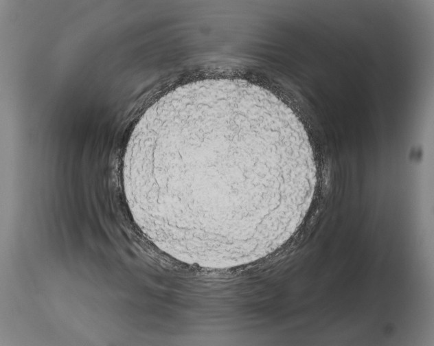 X0000113980964200911131051