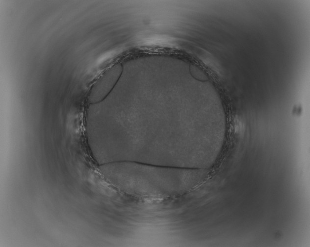 X0000113980965200911131051