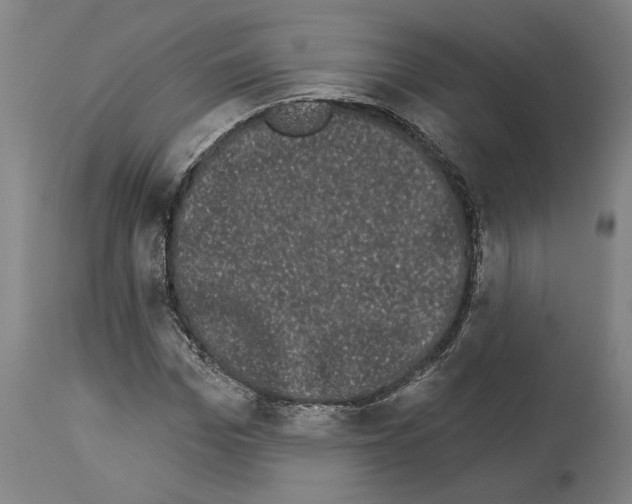 X0000113980969200911131051