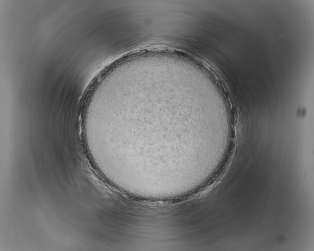 X0000113980973200911131051