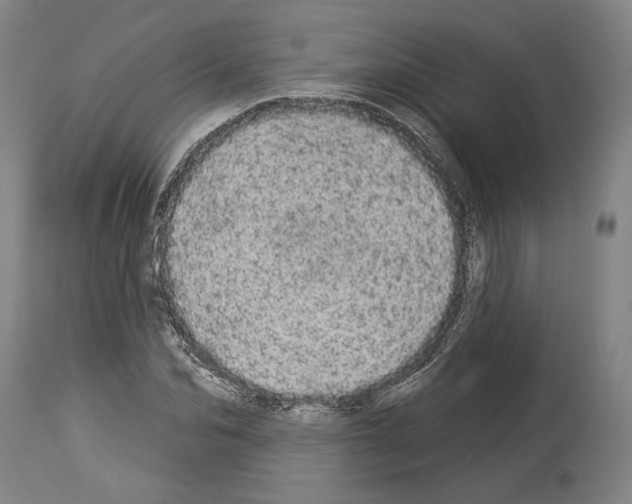X0000113980974200911131051