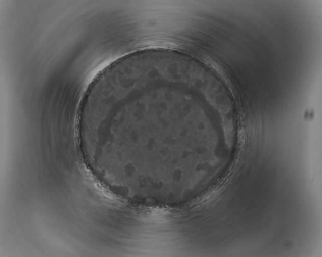 X0000113980975200911131051
