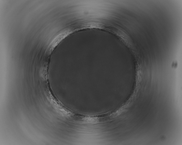 X0000113980977200911131051