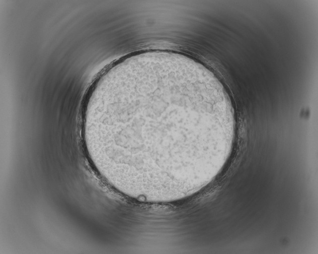 X0000113980979200911131051