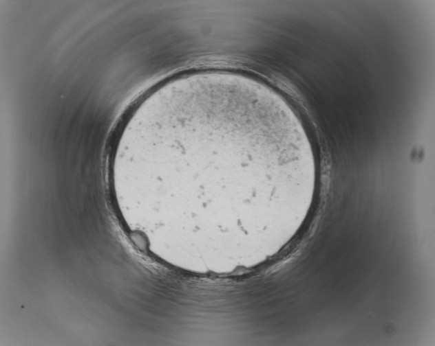 X0000113980981200911131051