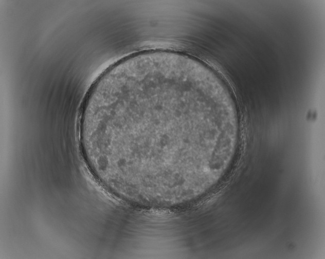 X0000113980983200911131051