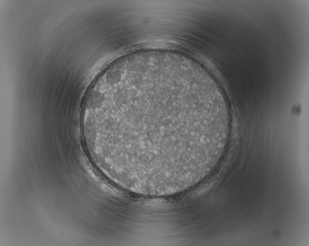 X0000113980986200911131051